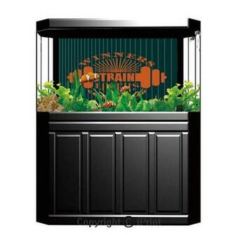 Amazon Terrarium Fish Tank Background Fitness Winners Train