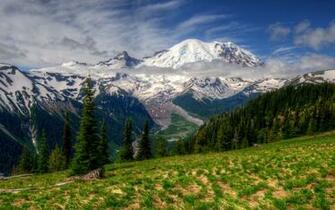 Wallpaper Mountains Landscape Mt Rainier Washington Grass HDr