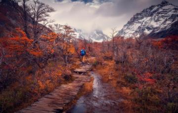 Wallpaper Nature Patagonia Fall Color On Road Image For Desktop