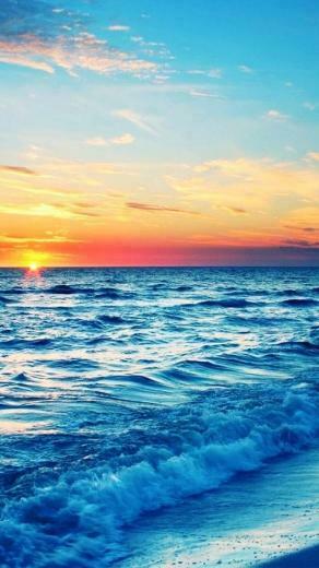 Wallpaper Charleston Sc Tropical Beach Throughout