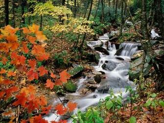 Nature Wallpaper North Carolina