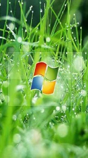 Wallpaper Background Windows Mobile