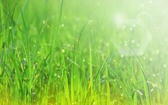 HD Wallpaper Spring High Resolution By