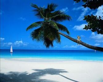 Background For Computer Screen Beach Image Amp Pictures
