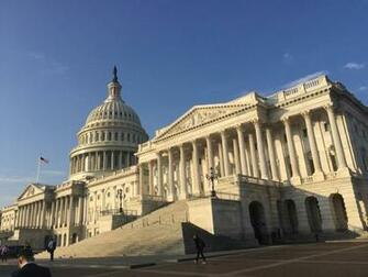 The House Voted To Require Universal Background Checks On Gun