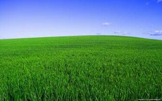 Deep Green Spring Desktop Pc And Mac Wallpaper