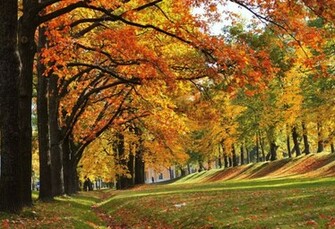Autumn Scenery Wallpaper