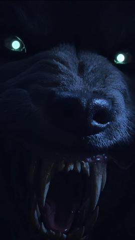 Magic Legends Werewolf 4k Phone HD Wallpaper Image