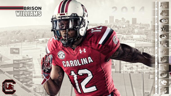 University Of South Carolina Official Athletic Site