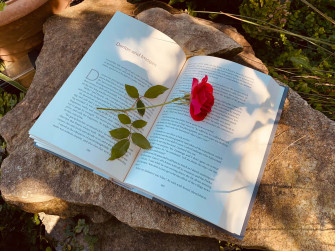 Book Aesthetic Wallpaper
