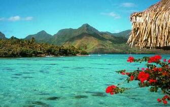Desktop Background Tropical Beach