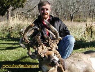 Go Back Image For Monster Whitetail Deer Buck Wallpaper