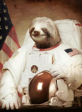 Astronaut Sloth Speedpaint By Pheoniic