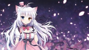 Wallpaper Cute Anime Cat Catgirl HD Imagepace