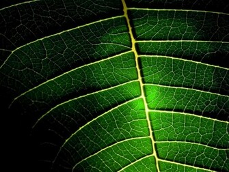 Uu27itu Cool Background For Your Desktop