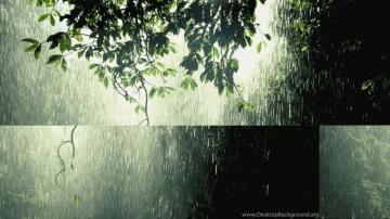 Rain Wallpaper Full HD Desktop Background