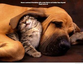 Quote For My Best Friend With Animals Wallpaper