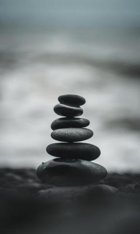 iPhone Zen Bunya