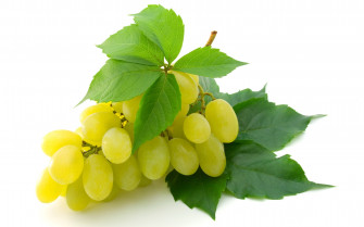 Fresh Grapes HD Wallpaper