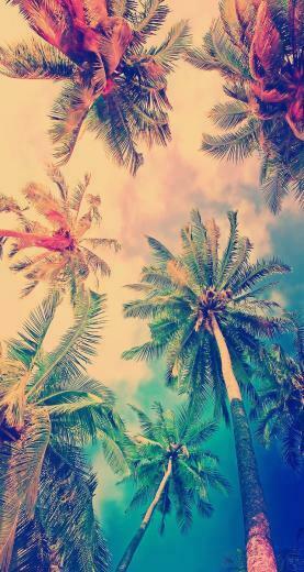 Trending For iPhone Plus Wallpaper Top
