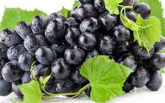 Black Grape Fruit Wallpaper For Desktop High Quality