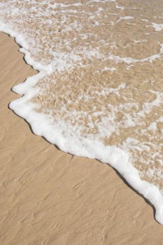 Seafoam In Beige Aesthetic Cream Brown
