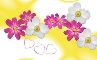 Photo Yellow Wallpaper For Desktop Background HD