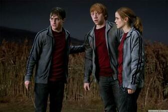 Harry Ron And Hermione Image Wallpaper