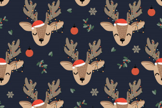 Festive Christmas Zoom Background The Bash