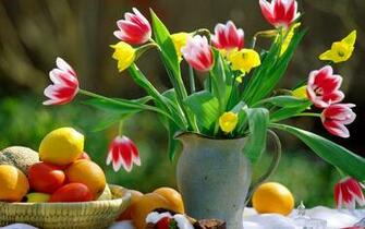 Desktop Fruits And Vegetables Pics Wallpaper Apple
