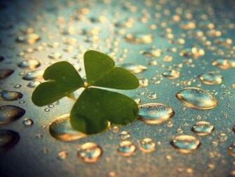 Good Luck Wallpaper To Your Cell Phone Clover Cool