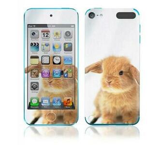 Market You Ill Ipod Touch 5th Generation Seal Skins Wallpaper