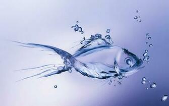 Funmozar 3d Water Wallpaper