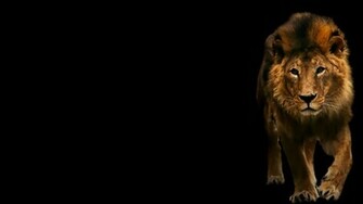 Leo Wallpaper Dark Background