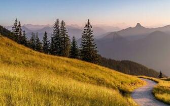 Bavaria Germany Alps Mountain Road Grass Trees Wallpaper