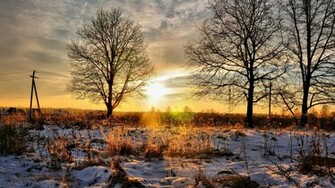 Winter Sunset Wallpaper
