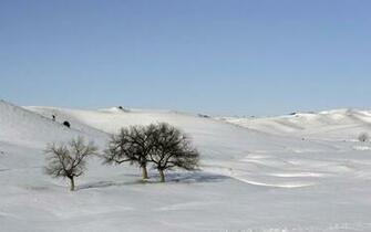 Wallpaper Nature Background Snow Scape Landscape Jpg