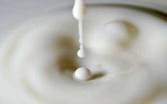Milk HD Wallpaper Pictures Pics Photos Image Desktop