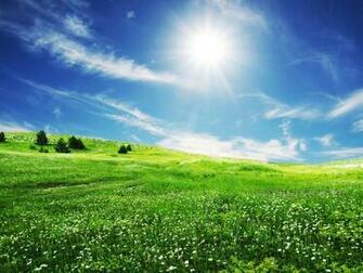 Medow Sun Shining Wallpaper