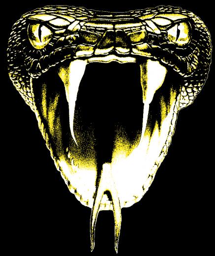 Kobe Bryant Black Mamba Logo Wallpaper