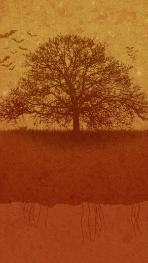 Scary Halloween iPhone 5s Wallpaper iPad