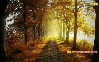 Wallpaper Fetch Nature Pack