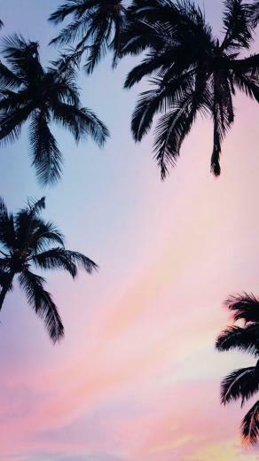 iPhone Xs Max Wallpaper Ios Background And