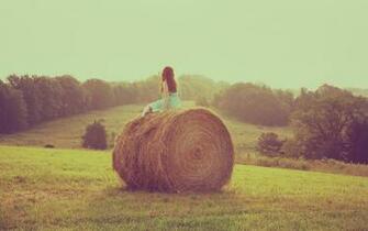 Summer Day Wallpaper Stock Photos