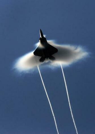 Stealthy Raptor Aviation