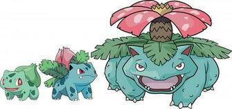 Venusaur Wallpaper