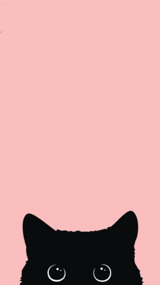 Cute iPhone Wallpaper With HD Quality Fondos De Gatos