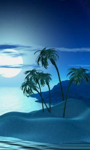 Tropic Night Smartphone Wallpaper HD For Cell Phone
