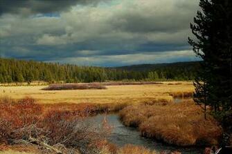Fly Fishing River Wallpaper In Yellowstone