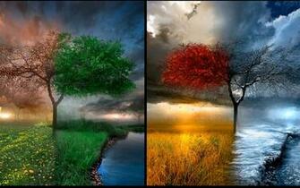 Wallpaper Four Seasons